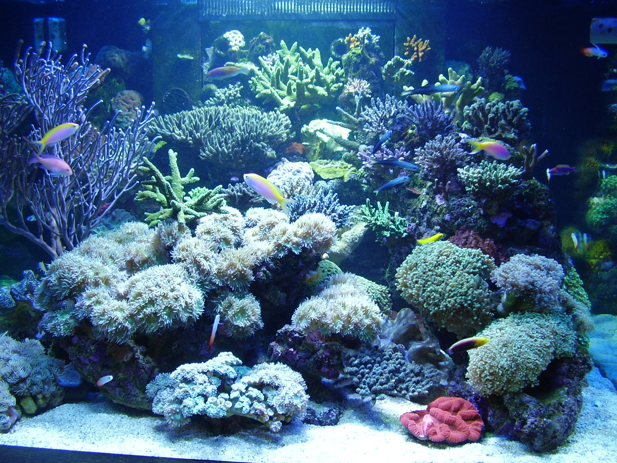 P9220143.JPG