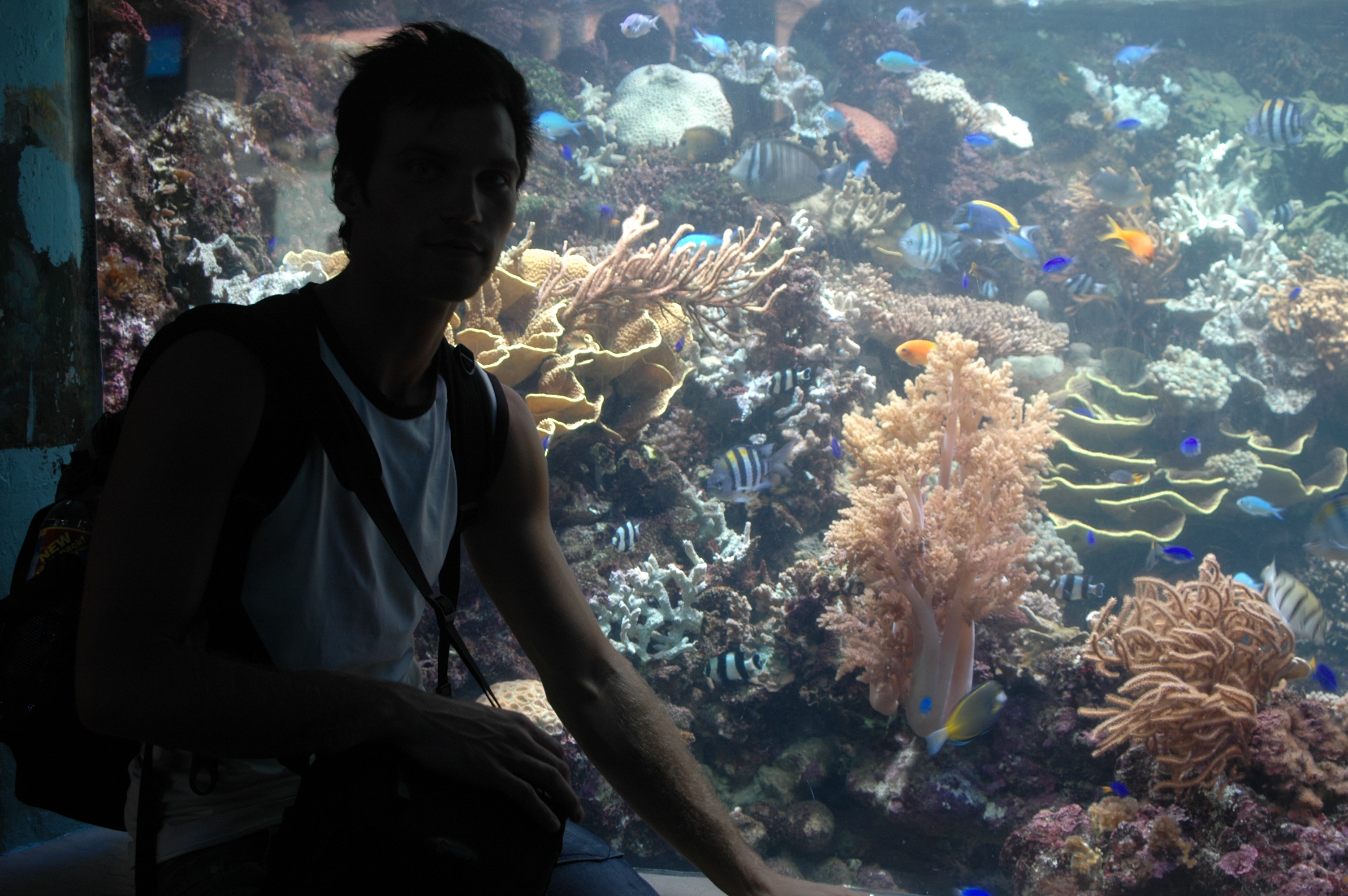 Sentosa 134.jpg